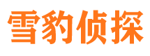 大兴侦探公司